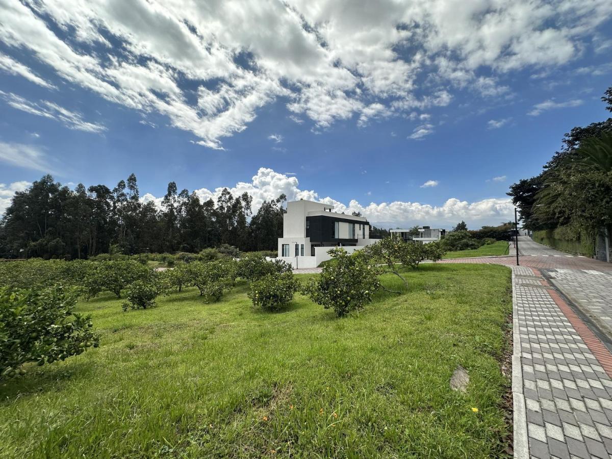 Terreno en Puembo Dentro de Urbanizaciòn Privada 439 Mtrs2 Plano — imagen 3