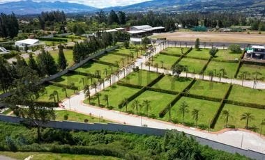Terreno en venta en Pifo — imagen 5