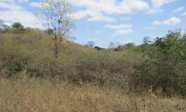 Terreno en venta en Santa Elena — imagen 5