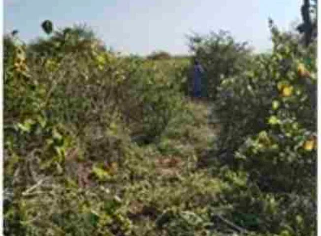 Terreno en venta en Santa Elena — imagen 3
