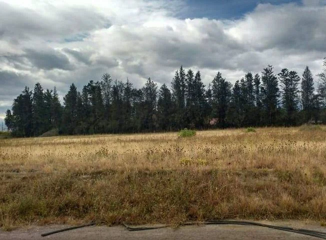 Terreno en venta en El Quinche — imagen 3