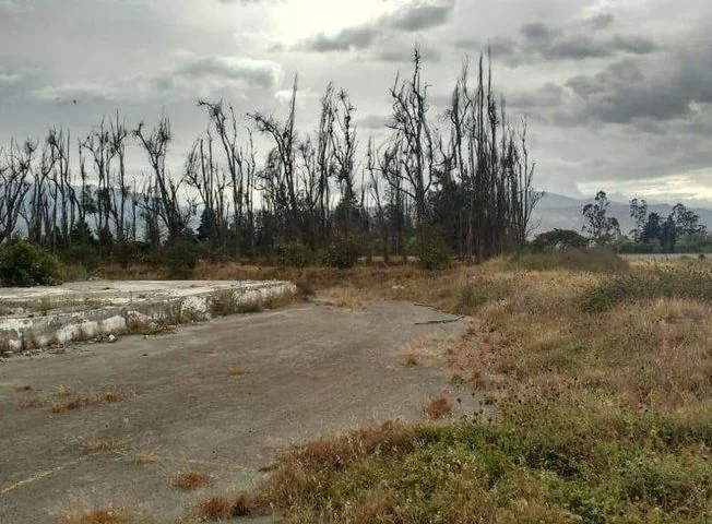 Terreno en venta en El Quinche — imagen 2