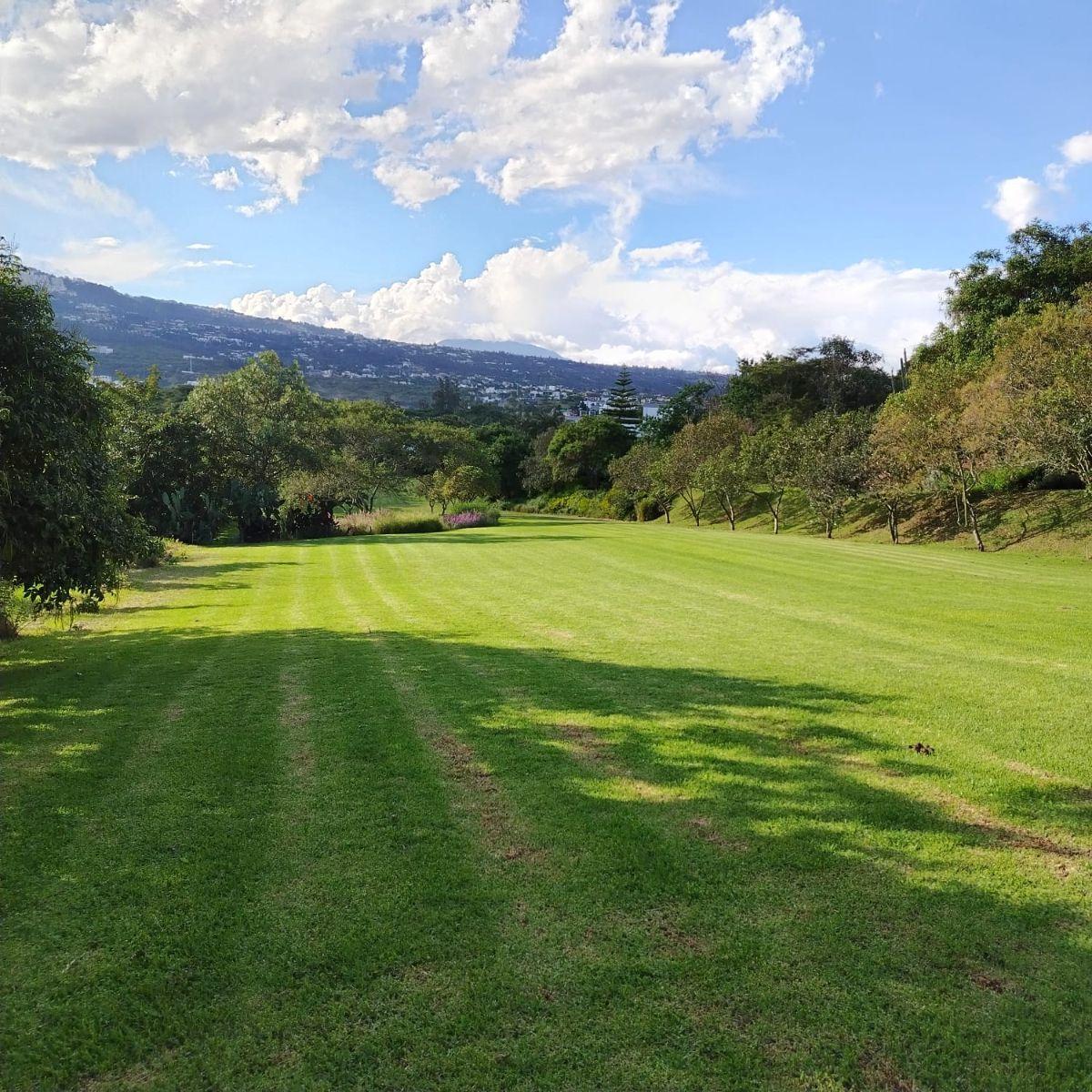 Venta de Terreno Independiente Sector de Meneses Pallares en Cumbaya — imagen 2