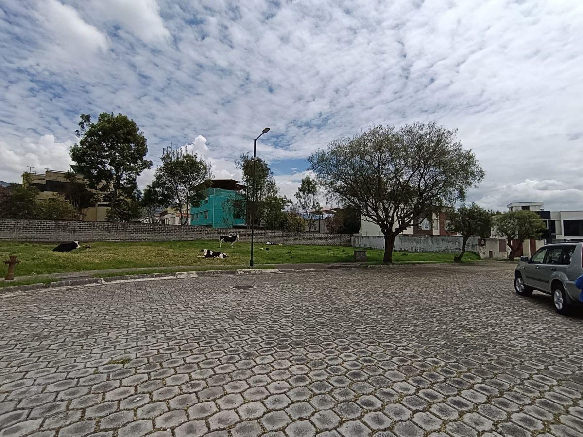 Terreno en Venta en Conocoto. Dentro de Urbanización — imagen 2