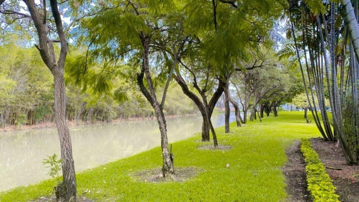 Riberas de Batan Terreno en Venta, Guayas — imagen 8