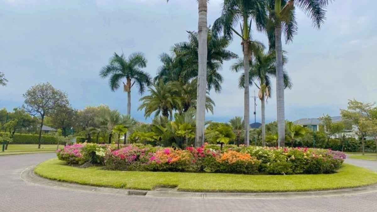 Riberas de Batan Terreno en Venta, Guayas — imagen 6
