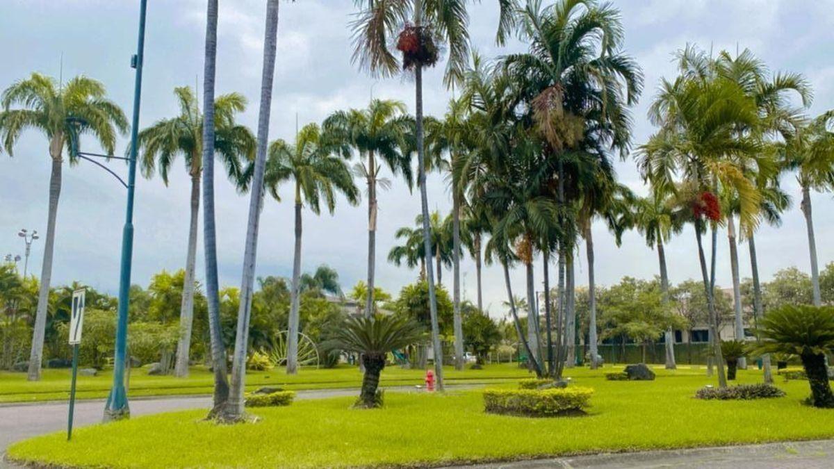Riberas de Batan Terreno en Venta, Guayas — imagen 4
