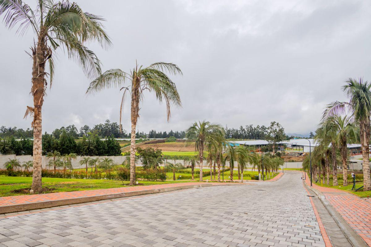 Terreno de 630 m² en Venta en Puembo con Guardianía — imagen 5
