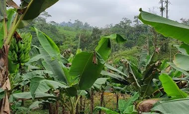 Terreno en venta en Santo Domingo — imagen 5