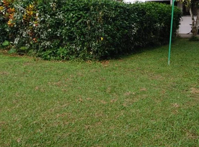 Terreno en venta en Santo Domingo — imagen 2