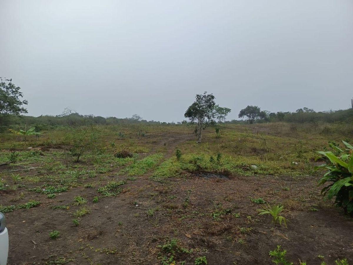 Terreno de Venta en Montecristi Sector Manantiales, Manabí — imagen 10