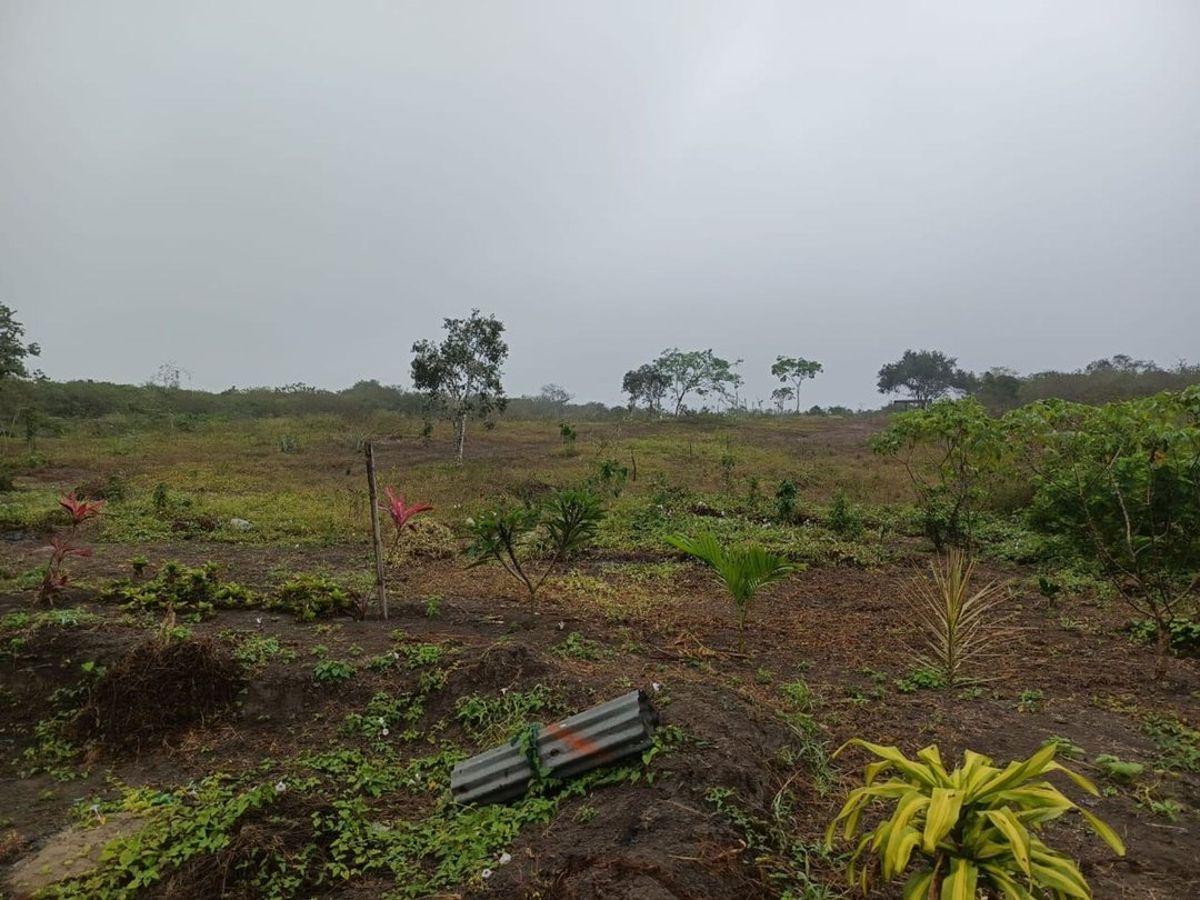 Terreno de Venta en Montecristi Sector Manantiales, Manabí — imagen 9