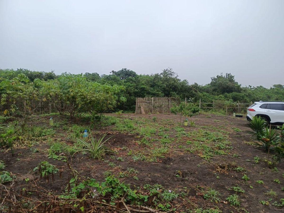 Terreno de Venta en Montecristi Sector Manantiales, Manabí — imagen 8