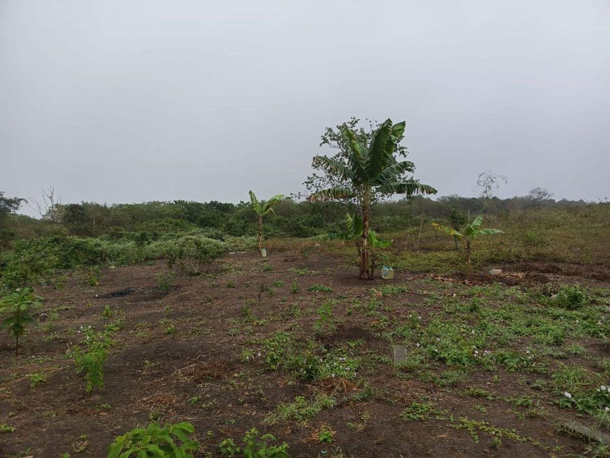 Terreno de Venta en Montecristi Sector Manantiales, Manabí — imagen 6