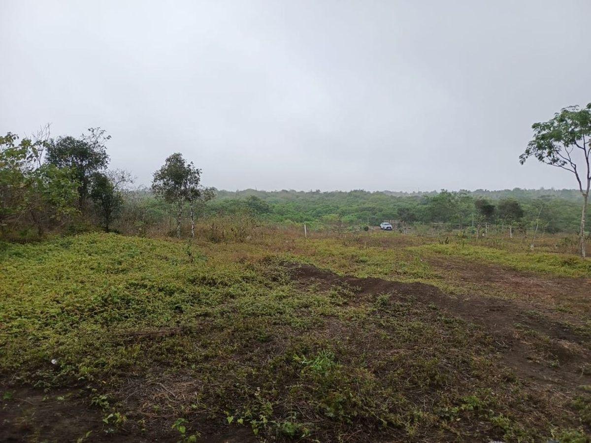 Terreno de Venta en Montecristi Sector Manantiales, Manabí — imagen 2