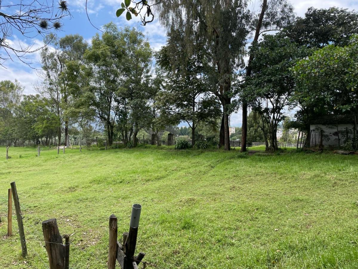 Vendo Hermosa Propiedad en La Zona Central de Sangolqui, con Casa Cololnial — imagen 10
