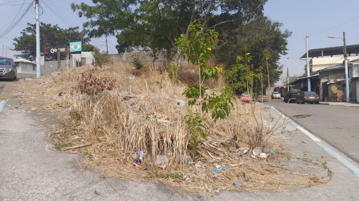 Terreno en Venta, Urbanor, Av de La Aguas, Tato, Guayas — imagen 3