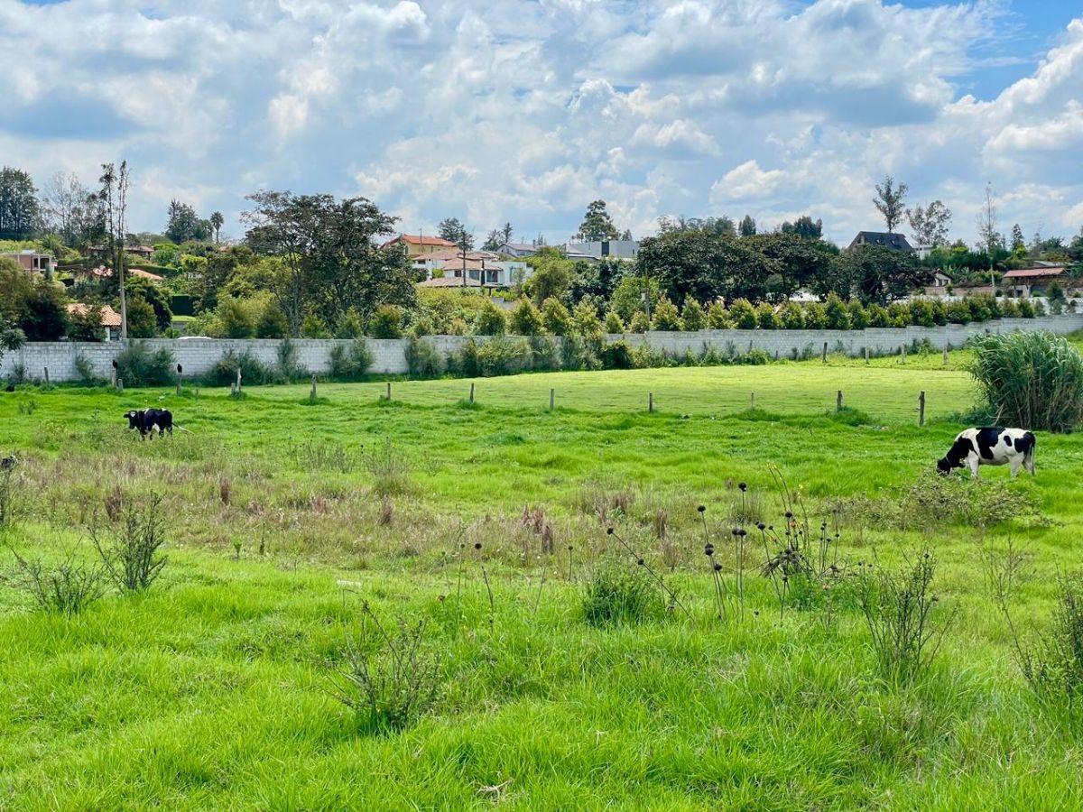 Terreno de 9872 en Venta, Puembo — imagen 5