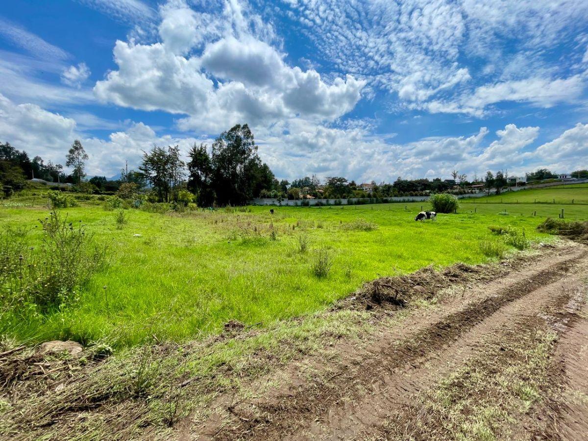 Terreno de 9872 en Venta, Puembo — imagen 4