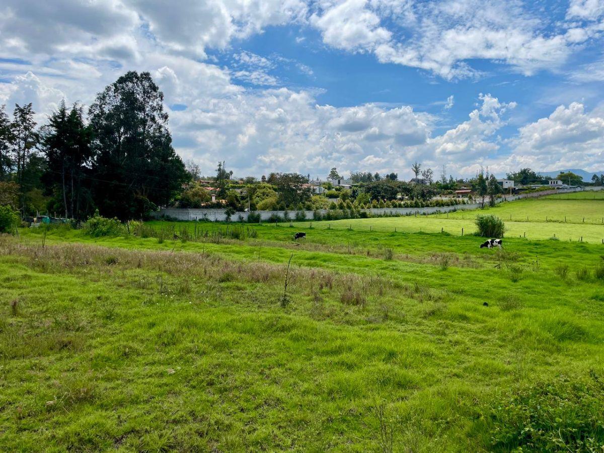Terreno de 9872 en Venta, Puembo — imagen 3