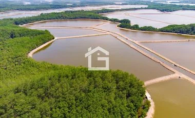 Terreno en venta en Santa Rosa — imagen 5