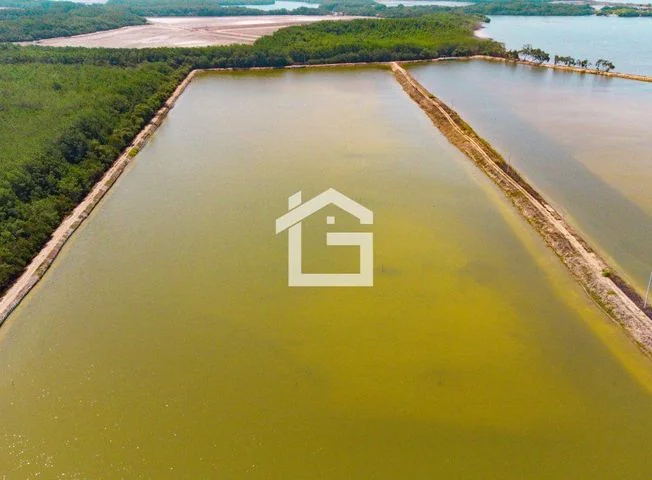 Terreno en venta en Santa Rosa — imagen 2
