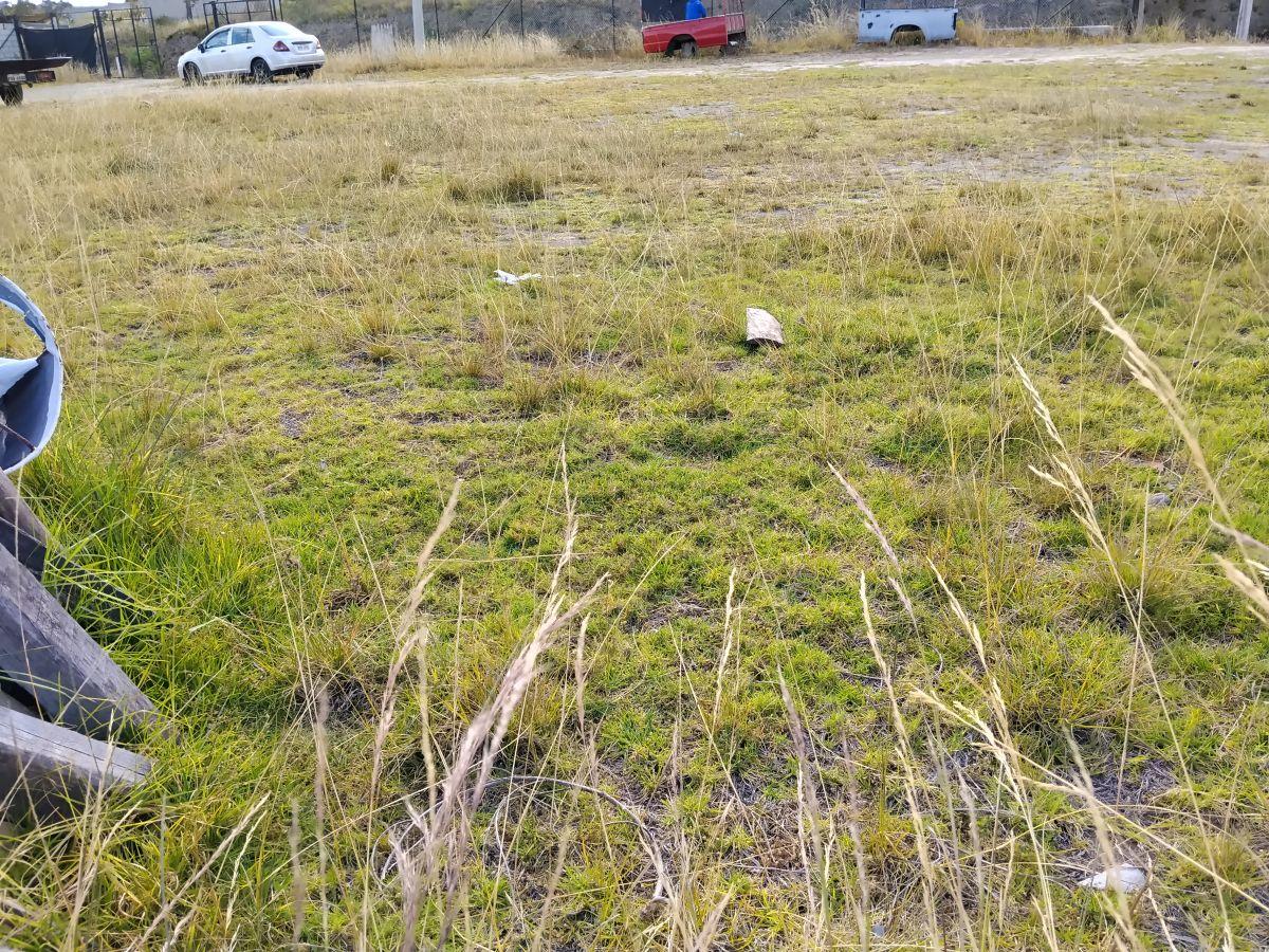 Terreno de Venta Apto Para Gasolinera o Parador Turístico — imagen 8