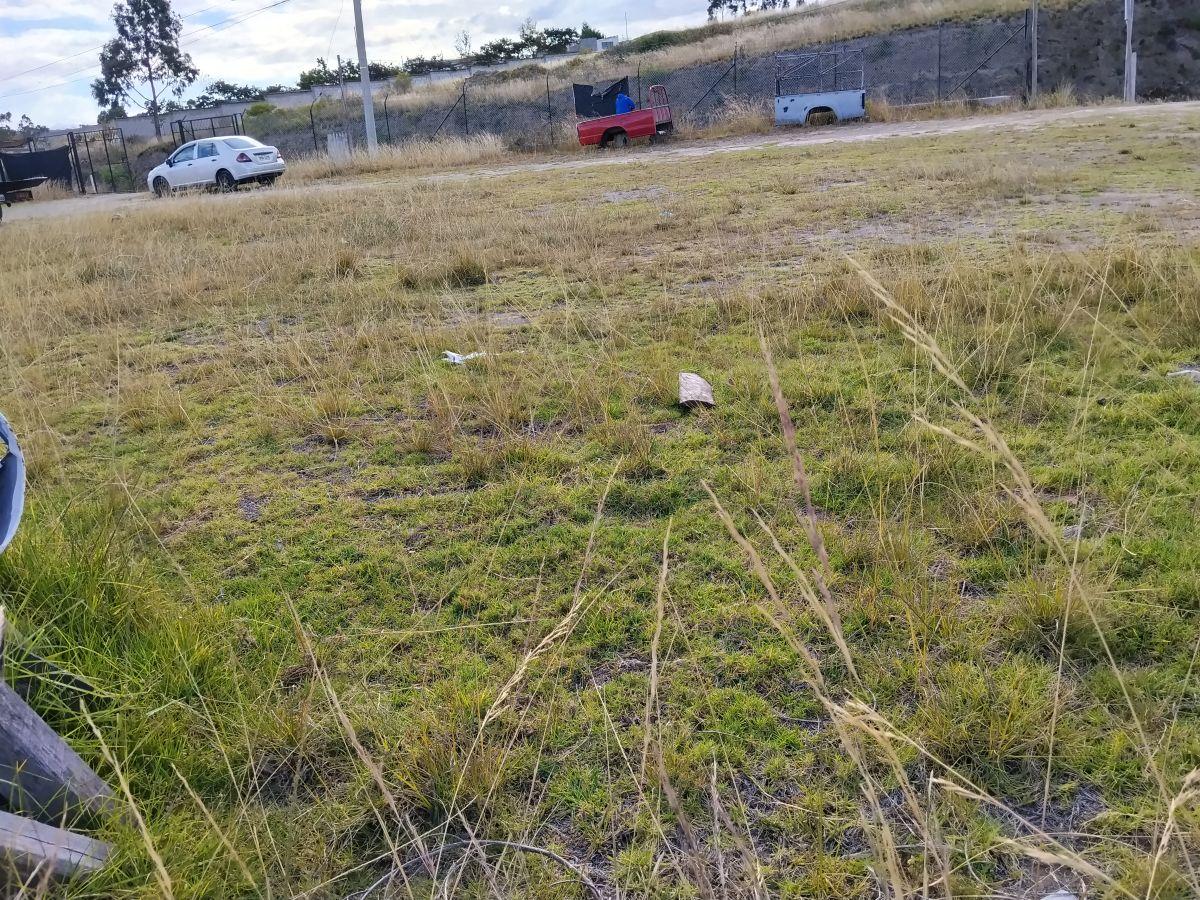 Terreno de Venta Apto Para Gasolinera o Parador Turístico — imagen 7