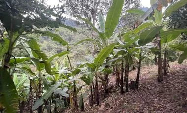 Terreno en venta en San Miguel De Los Bancos — imagen 4