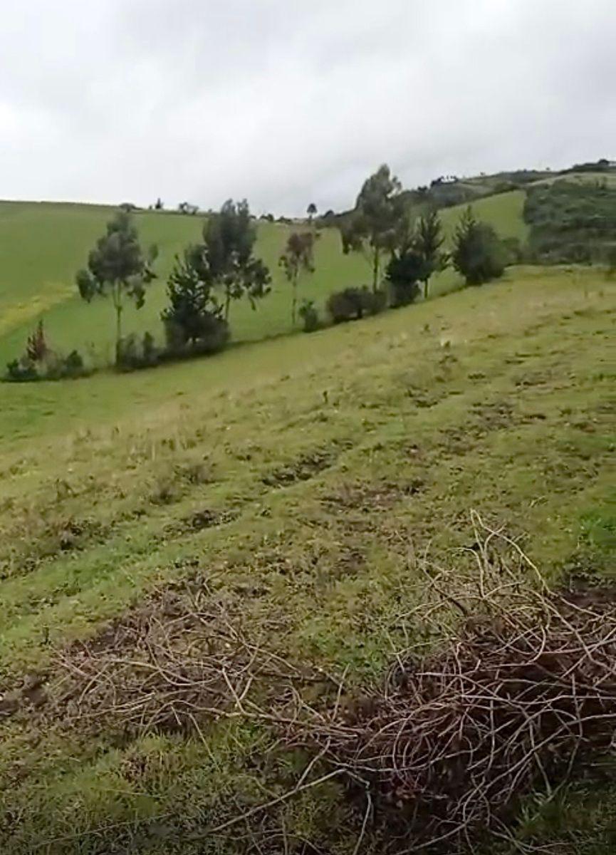 Oportunidad de Inversión – 20 Hectáreas en El Sur de Quito — imagen 7
