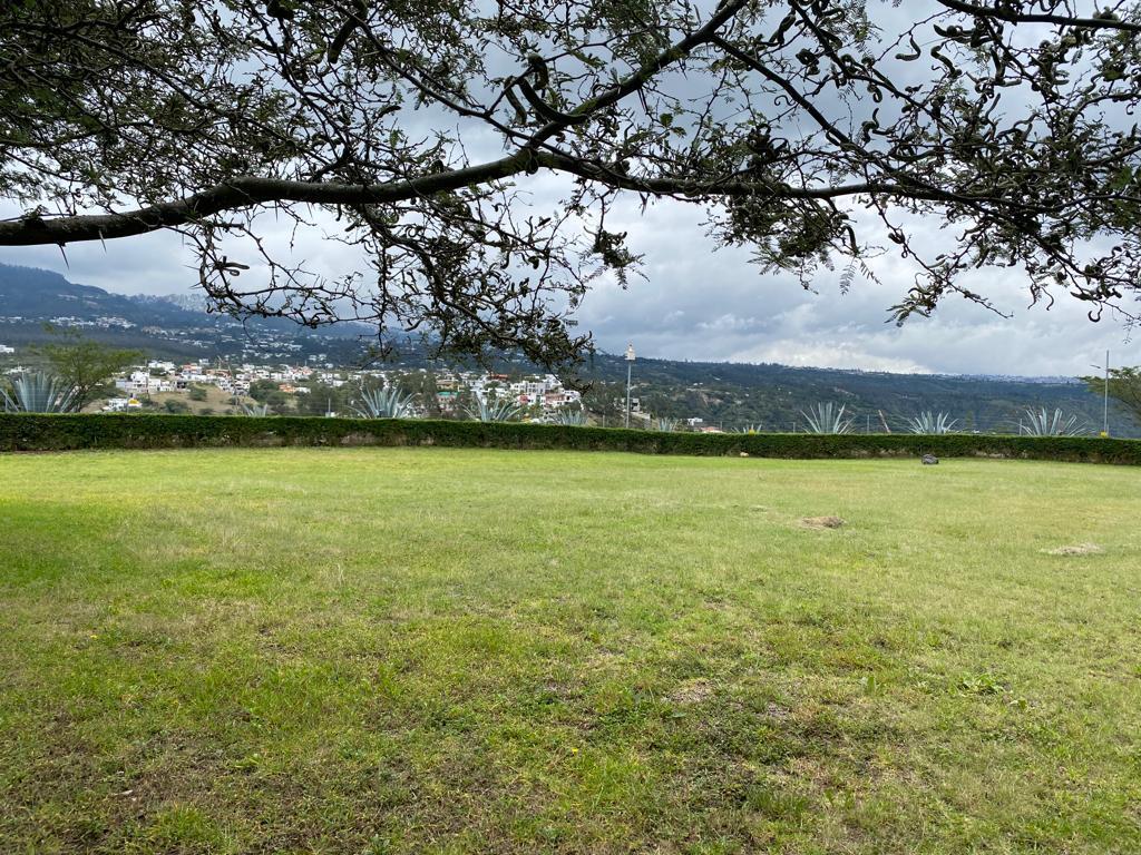 Terreno de 1855,04 m² de Venta en Urb. La Quinta Cumbayá — imagen 7
