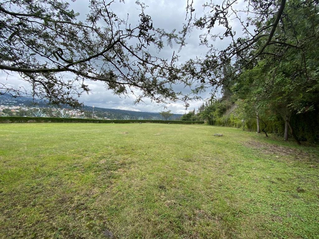 Terreno de 1855,04 m² de Venta en Urb. La Quinta Cumbayá — imagen 6