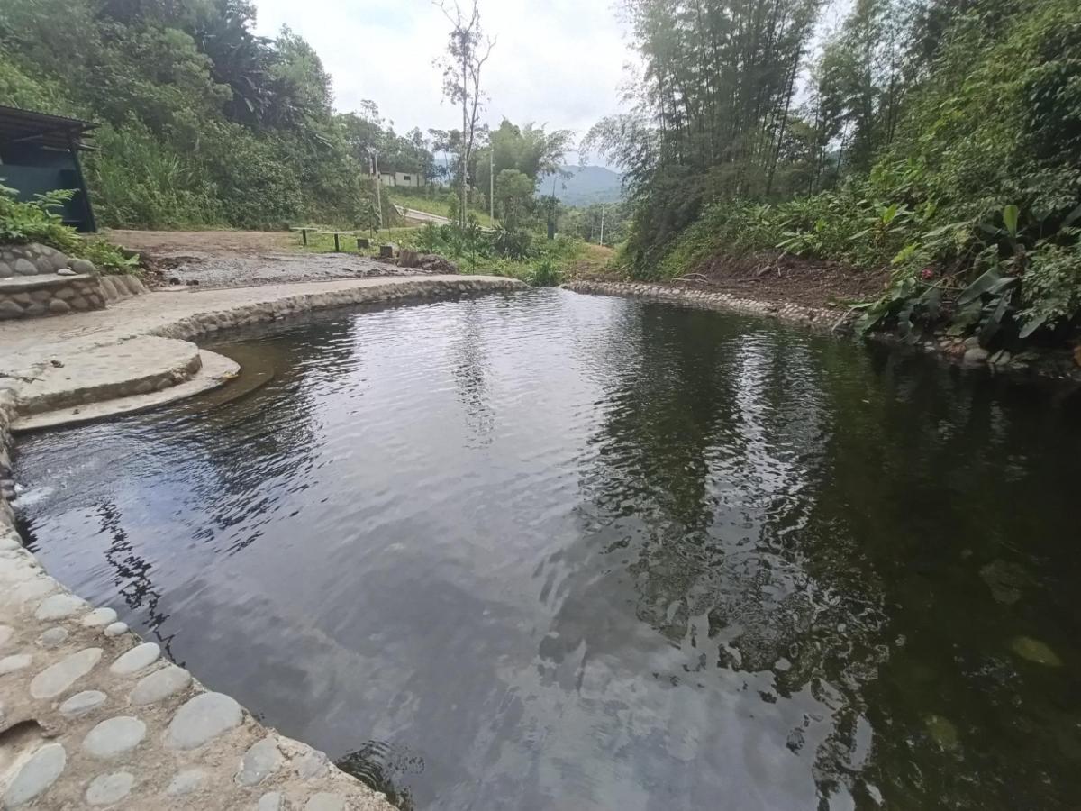 Terrenos de Venta en Mindo Dentro de Urbanización Privada — imagen 10
