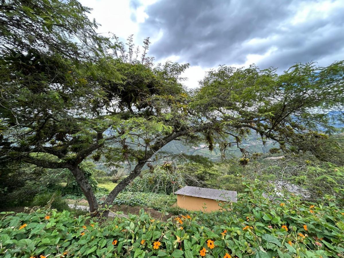 Se Vende Finca en Perucho Via a San Jose de Minas — imagen 10