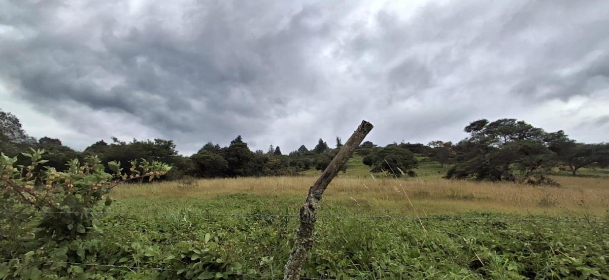 Se Vende Finca en Perucho Via a San Jose de Minas — imagen 6