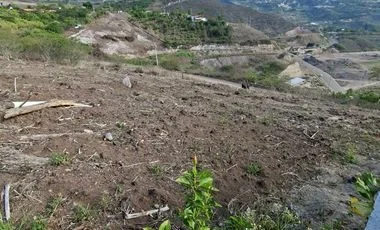 Terreno en venta en Santa Isabel — imagen 5