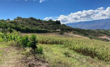 Terreno en venta en Santa Isabel — imagen 4