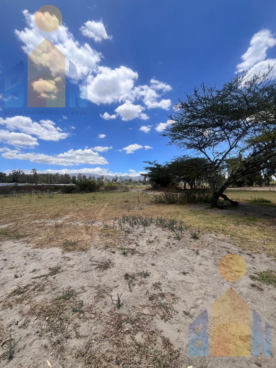 Terreno de Venta en Puembo Cerca de Arrayanes — imagen 6