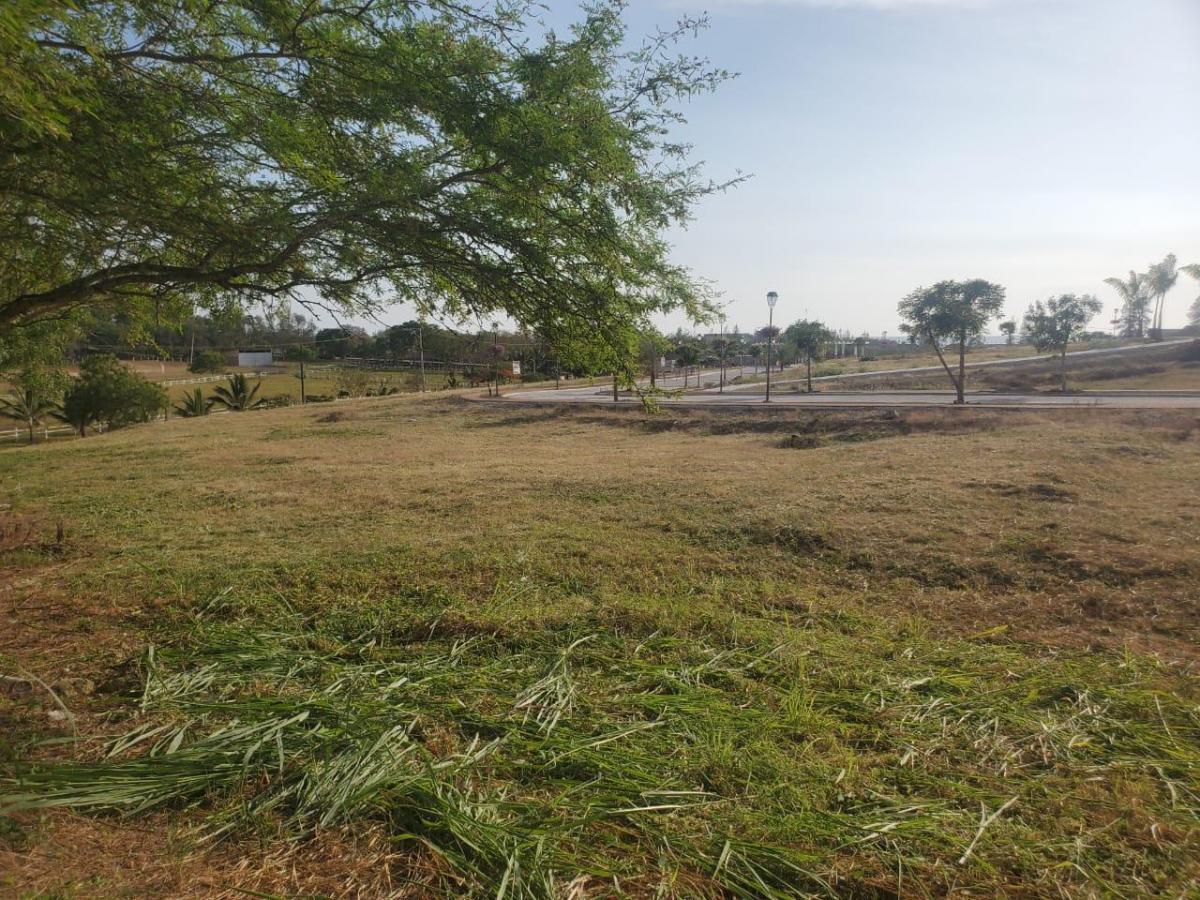 Terreno en Venta Urbanización Sol de Olón - Santa Elena — imagen 8