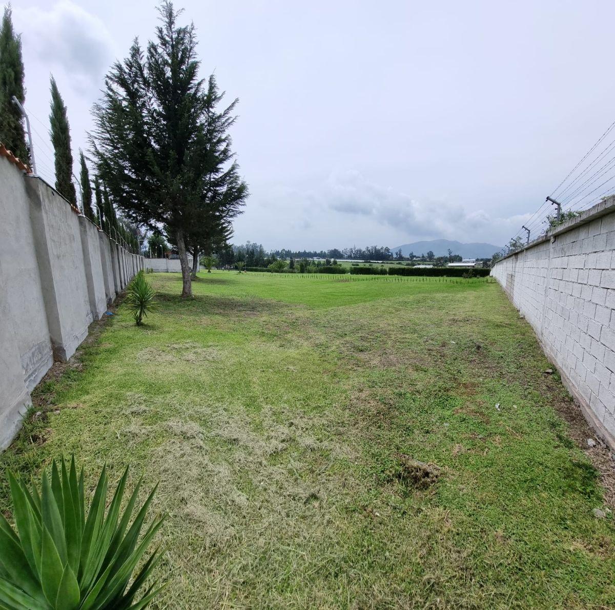 Terreno de 1246 m² en Venta en Puembo Dentro de Urbanización — imagen 6