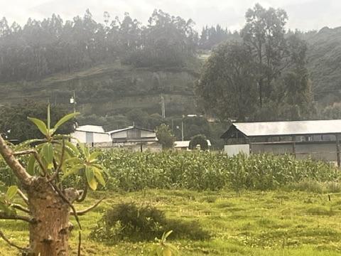 Terreno de Venta en Pifo Uso Industrial Sector El Belen — imagen 4