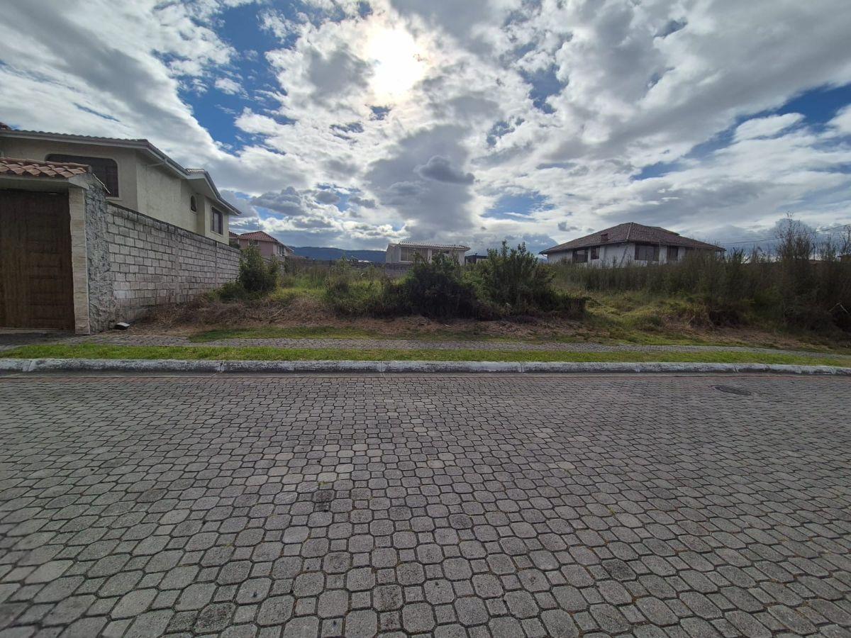 Terreno en Venta - San Pedro de Taboada — imagen 8