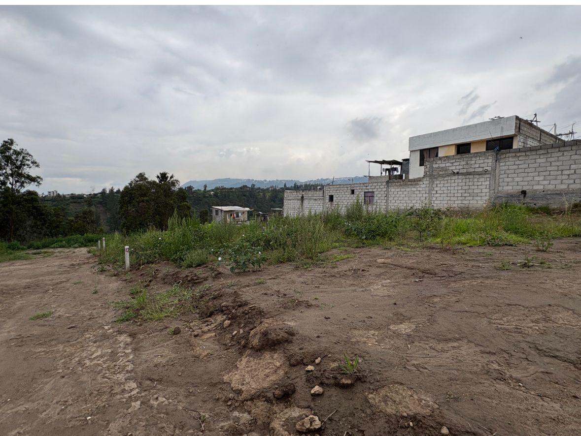 Terreno en Venta Llano Grande 6265 m² — imagen 7