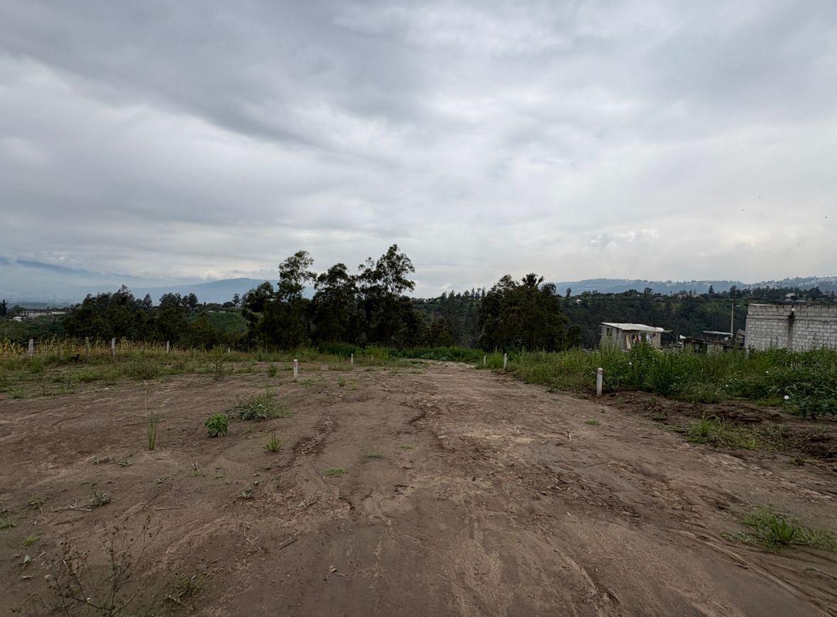 Terreno en Venta Llano Grande 6265 m² — imagen 6