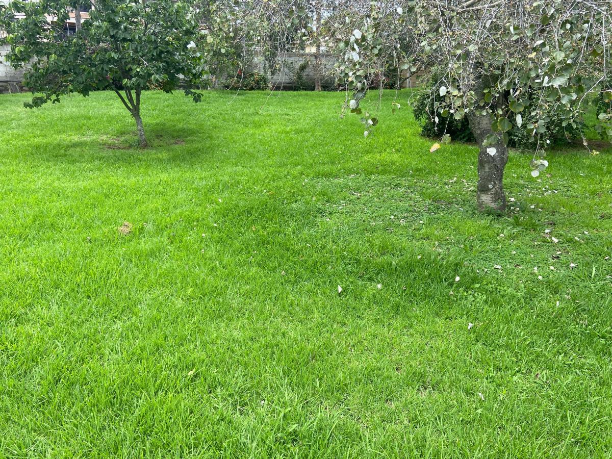 Vieja Hacienda Venta Terreno — imagen 9