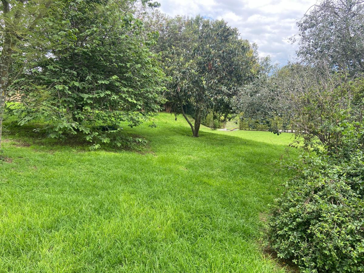 Vieja Hacienda Venta Terreno — imagen 8