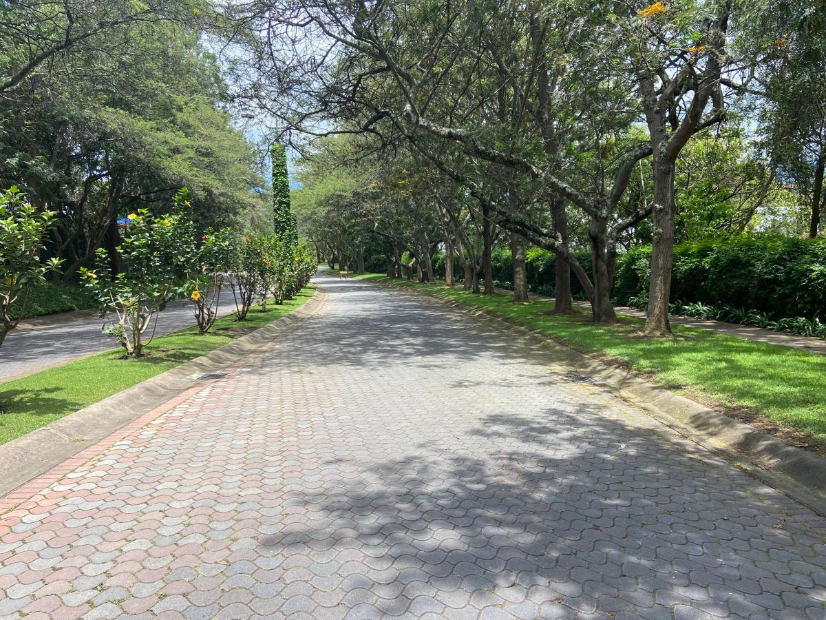 Vieja Hacienda Venta Terreno — imagen 7