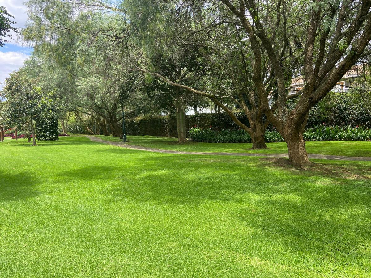 Vieja Hacienda Venta Terreno — imagen 6
