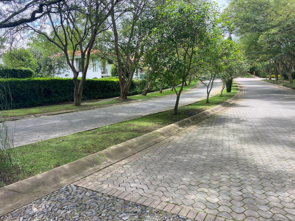Vieja Hacienda Venta Terreno — imagen 3