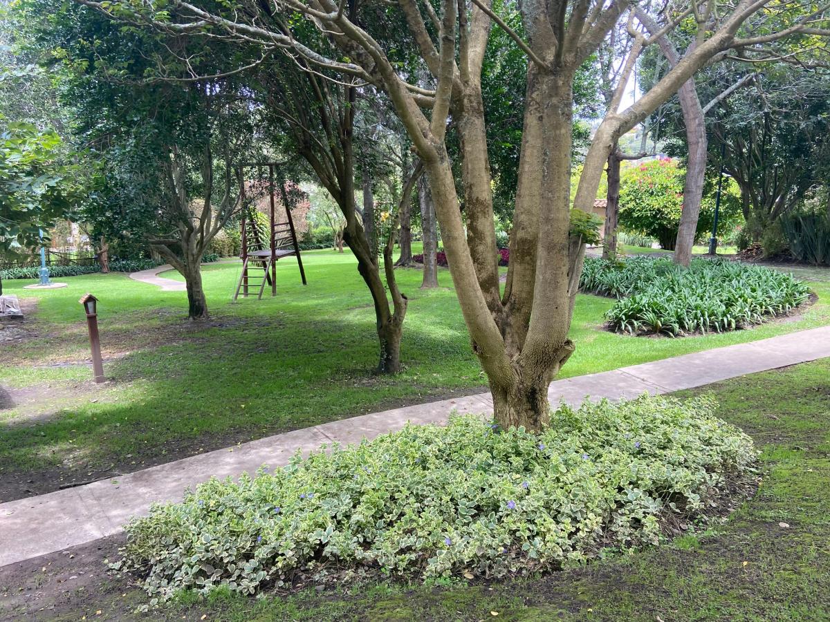 Vieja Hacienda Venta Terreno — imagen 2